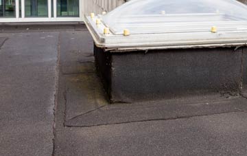 disadvantages of Thorpe Fendykes flat roofs